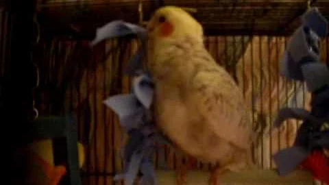 Romeo.avi