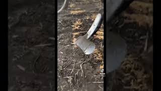 1 in a million chance Information