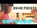 オズモポケット 最初の簡単な設定と注意点！初心者必見　これだけやればうまく撮れる！OSMO POCKET tips