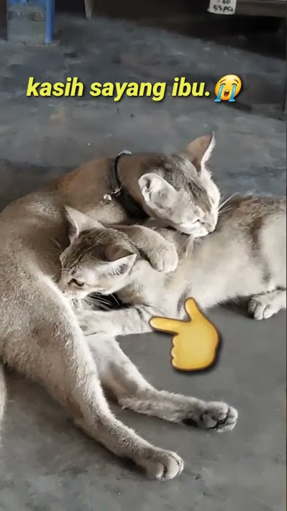 kasih sayang..ibu dan anak..
