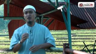 Ceramah Dan Tausiyah Islam: Dosa Lisan - Ustad Zakaria Ahmad