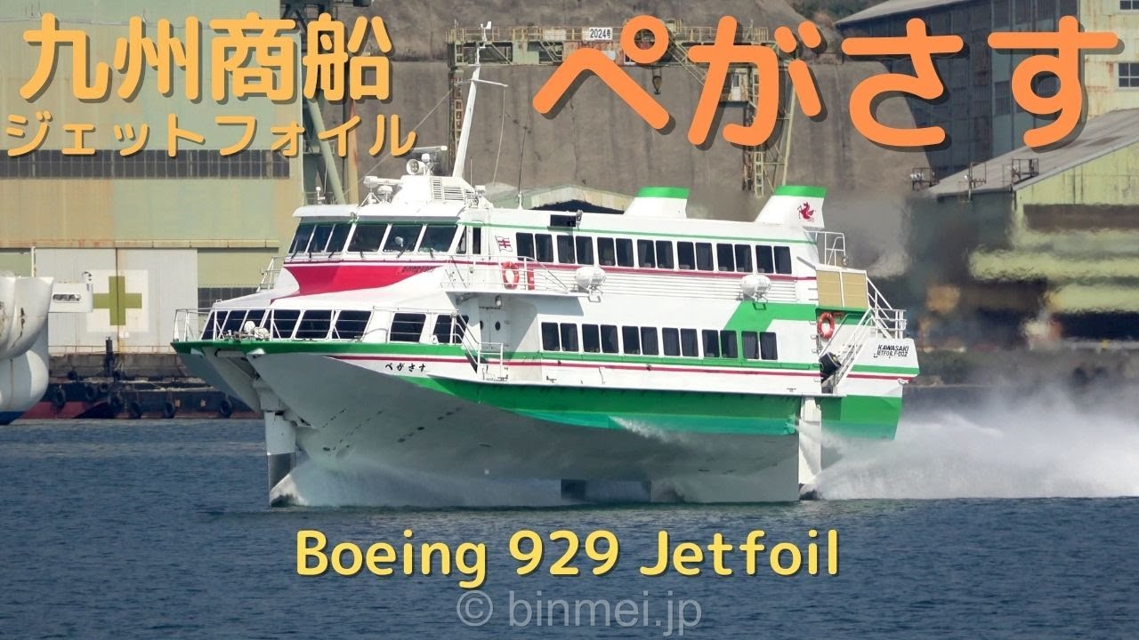 ポット・急須・土瓶 - 224porcelain ｜食器・皿・茶碗 嬉野肥前