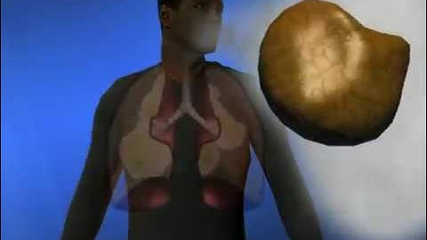 Silica Safety Awareness