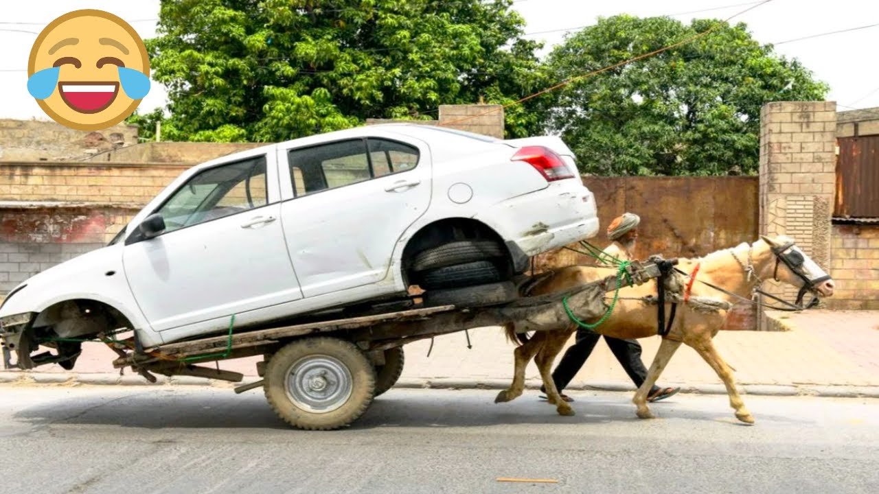 Смешная подборка с тик-ток #35 Я ржал до слез 😂 20 Минут смеха Смешные видео Приколы за январь 2026