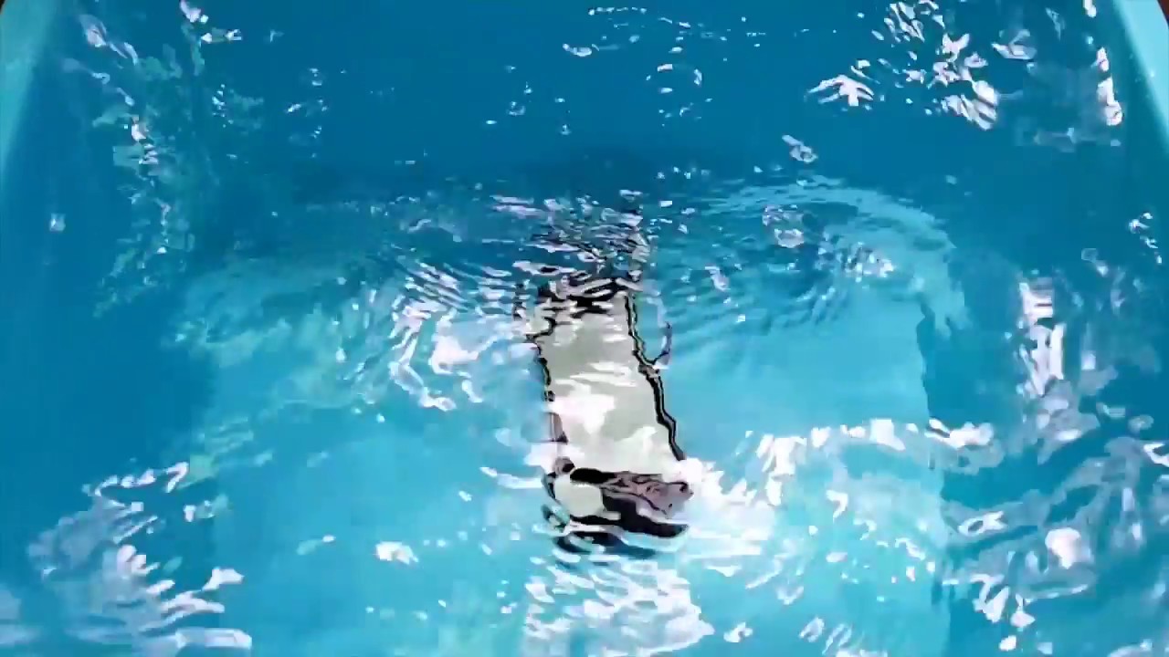 AGM X1 mini бросают, топят и засыпают песком :)