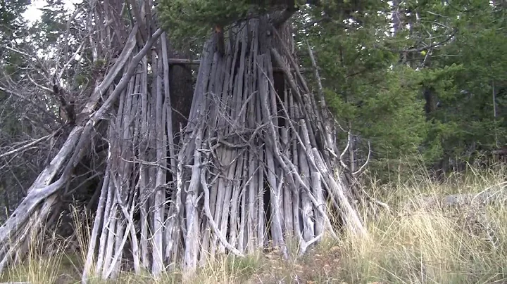 Mysterious Structure in the Woods!