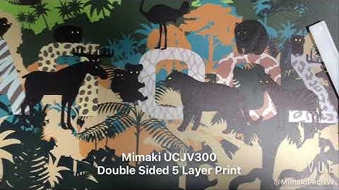 Mimaki UCJV300 "5 Layer Printing"