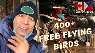 TOURING BIRD KINGDOM NIAGARA FALLS CANADA 2022 | Part 2