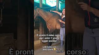 Ecco il link 🐎👇https://www.udemy.com/course/un-cavallo-come-amico/?referralCode=FDBB2D536AF24438F5FF