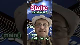 Static variables are computer data variables stored in Stack memory. May call them global variables.