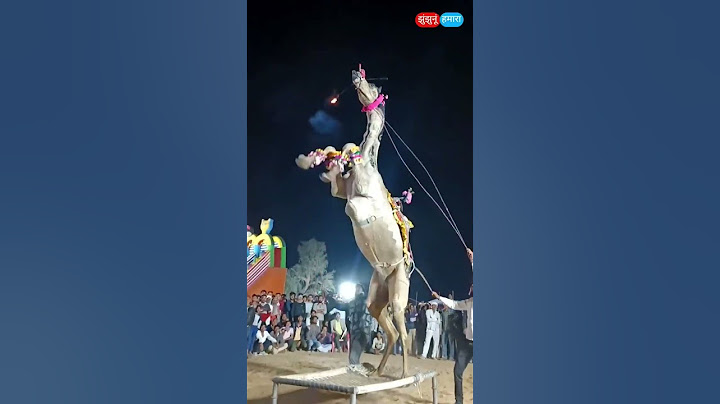 chunni chunni me 🥰 Camel dance #shorts #short #viral
