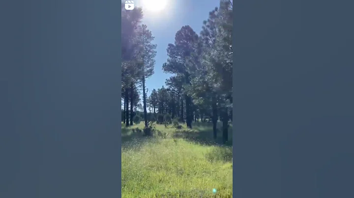 Sitgreaves National Forest camping
