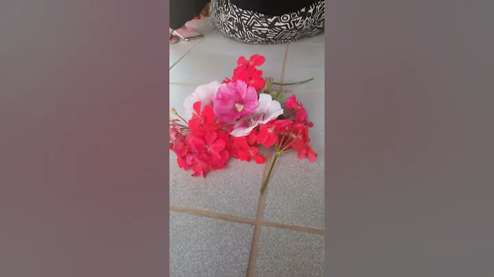 Flors