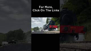 Soothing Wind and Chime Hanging Sound | Why Everyone Like relaxing train ride in the woods? #shorts