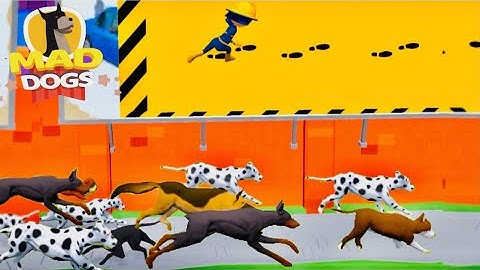 Mad Dogs Escape From Dogs Level 6-10