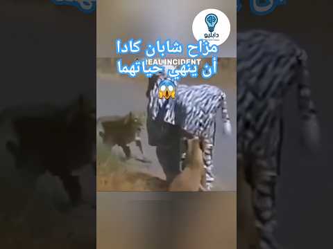 شابان يمزحان ارتدو زي حمار وحشي في الغابة فحدثت كارثة أسد حيوانات معلومات ابلور ترند
