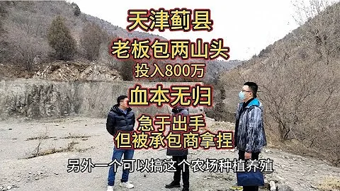 天津蓟县老板包山失败投入800万血本无归！想出手确实难上加难！ - 天天要闻