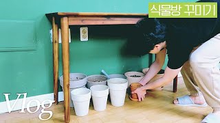 Plants need a safe space🌱 Plant room makeover by 너는내운냥 478 views 1 year ago 5 minutes, 3 seconds