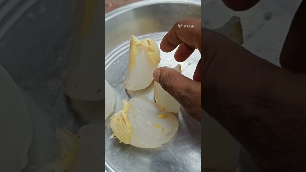 তালশাস - Taal 