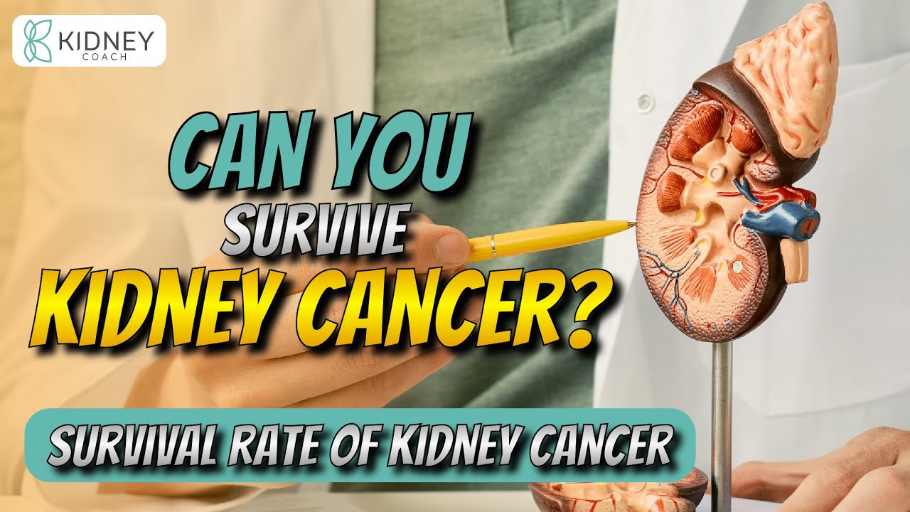 What Is The Survival Rate Of Kidney Cancer Kidney Cancer Statistics What Is The Survival Rate Of Kidney Cancer Kidney Cancer Statistics