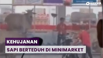Terjebak Hujan, Sapi Berteduh di Atas Tumpukan Galon Minimarket di Bekasi