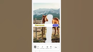 Adobe Firefly: Remove Objects from Photos with AI