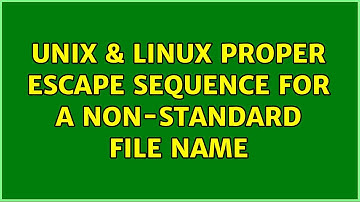 Unix & Linux: Proper escape sequence for a non-standard file name (2 Solutions!!)