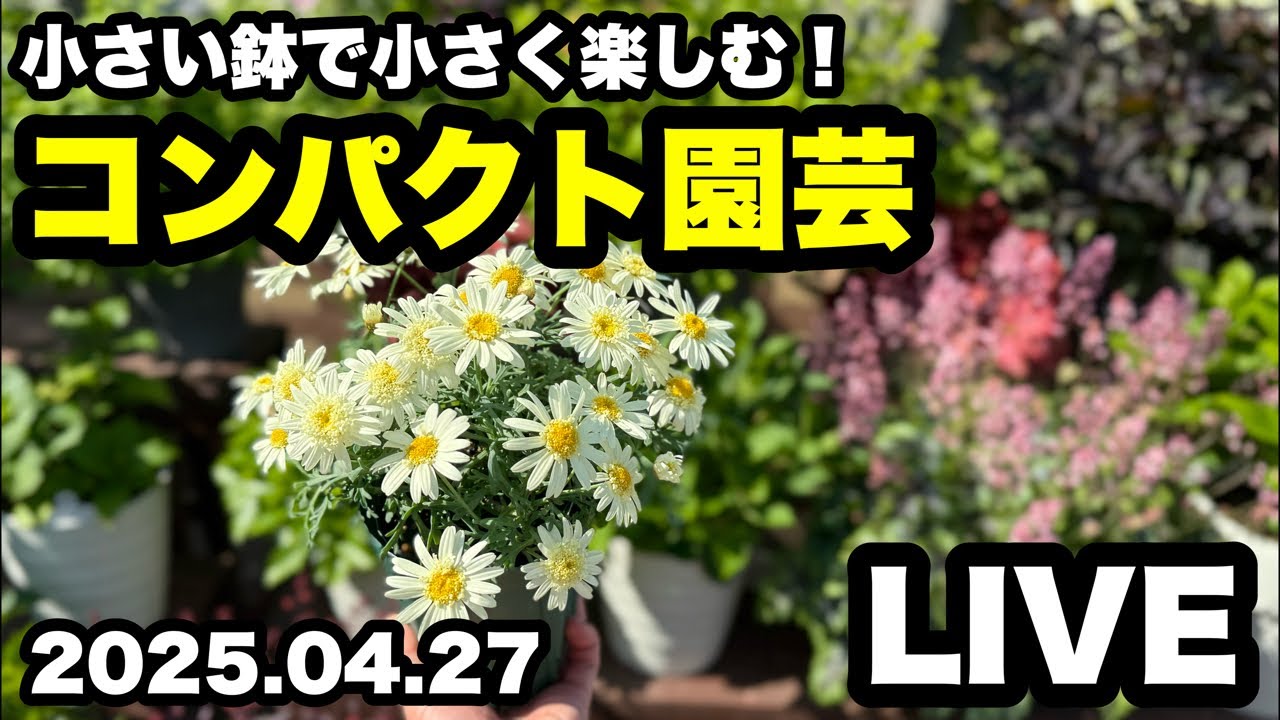 ◇新しい園芸の提案【コンパクト園芸】 - YouTube