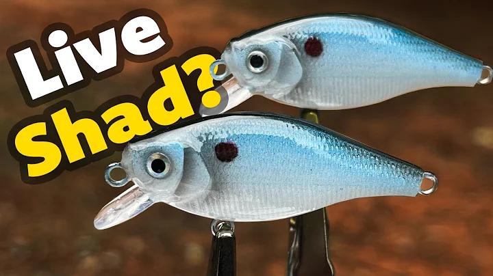 Lure Painting | Too realistic?