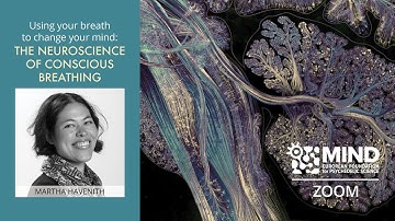 The Neuroscience of Conscious Breathing | Dr. Martha Havenith