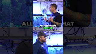 Reef Tank Hobby - Advice for New Enthusiasts #worldwidecorals #seaworld #seaworldorlando