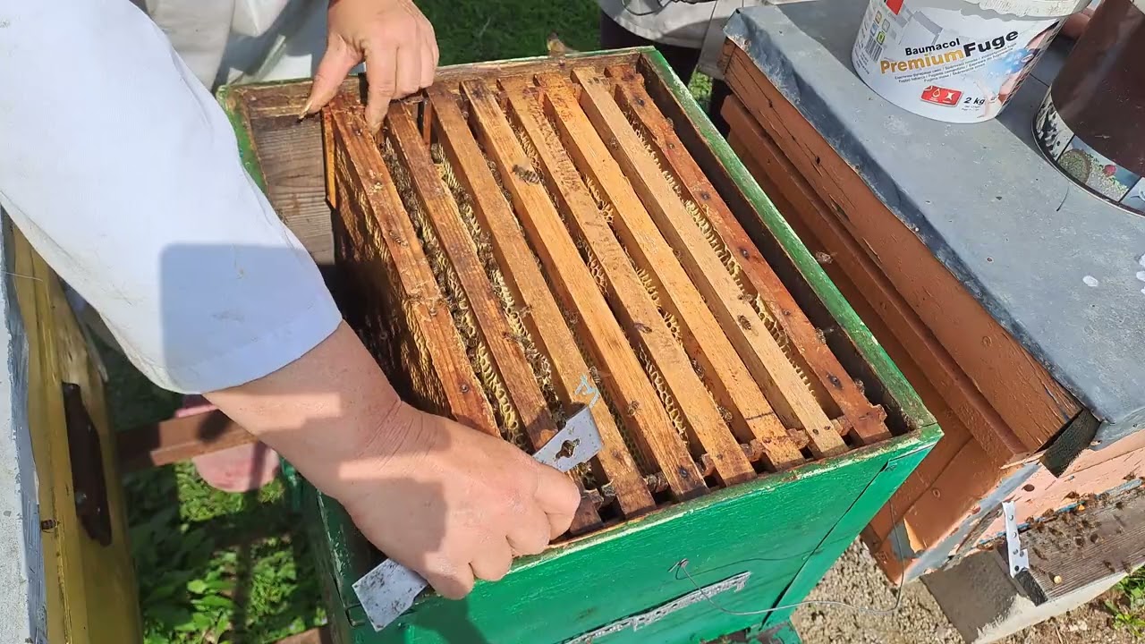 Una de-a mea .Una sinevir .1 .04.2025