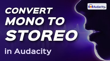 How to convert mono to stereo track in audacity 2024 (Enrich Your Audio)