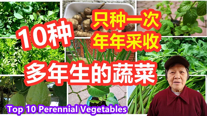 10種多年生的蔬菜, 只需種一次, 每年都有採收, 非常好打理的蔬菜，Top 10 Perennial Vegetables - 天天要聞