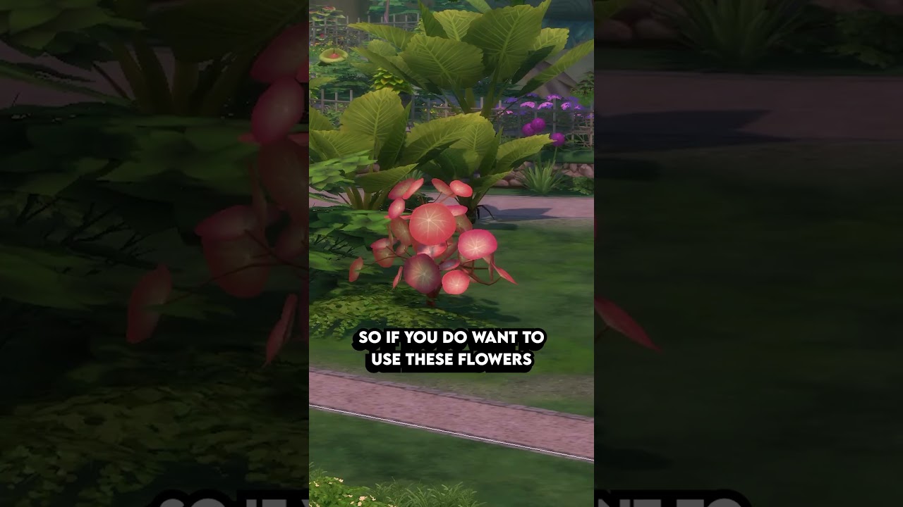 Моя самая большая проблема с The Sims 4: Зачарованные природой