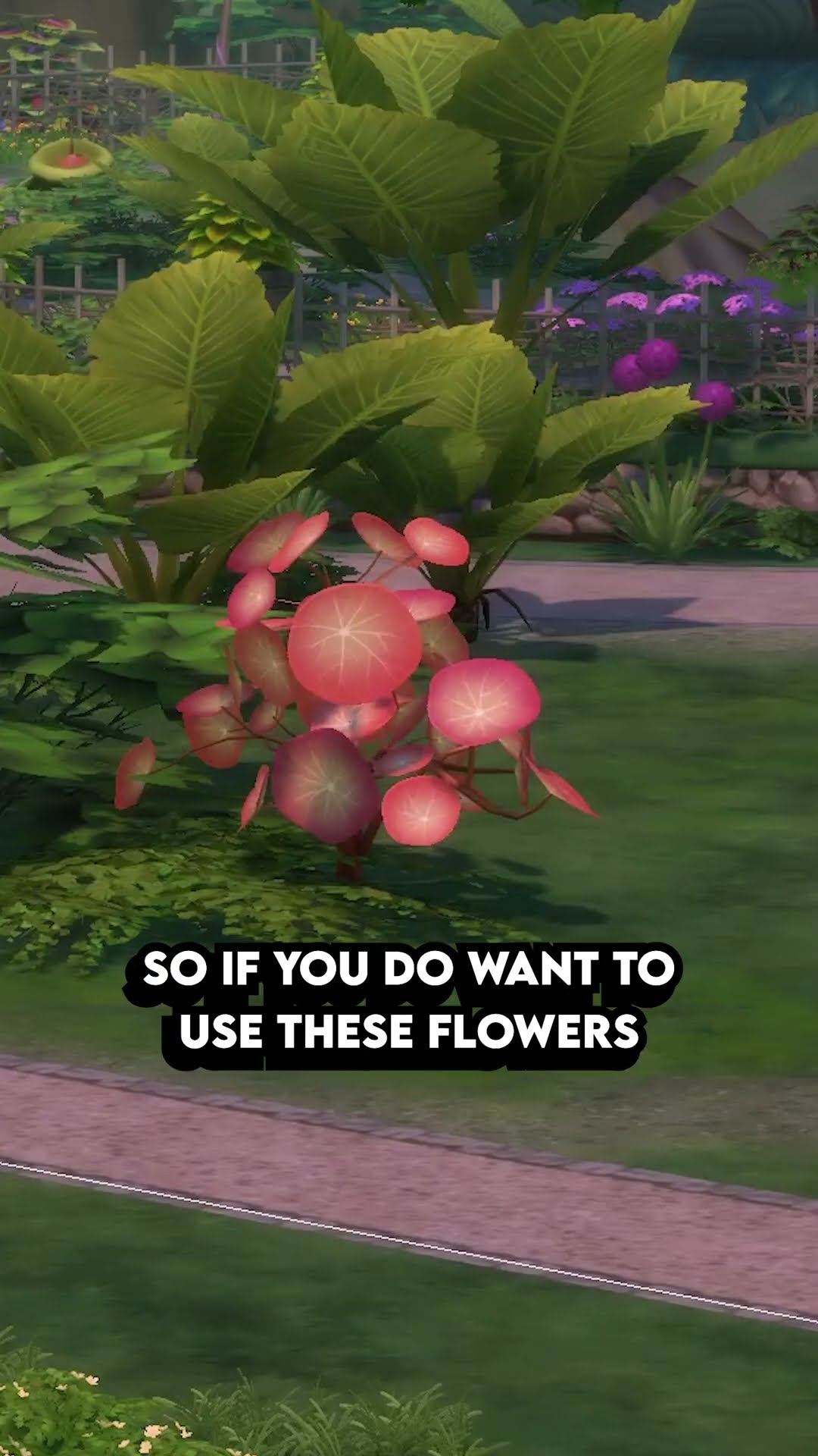 My Biggest Issue With The Sims 4 Enchanted by Nature - YouTube