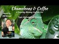 Chameleons &amp; Coffee: Chameleon Hydration