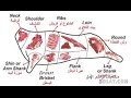 اسماء قطعيات اللحم مطبخ الاسرة 