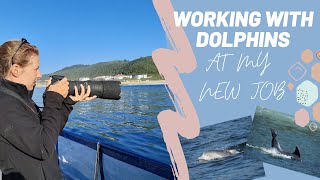 Vlog | My new job working with marine mammals