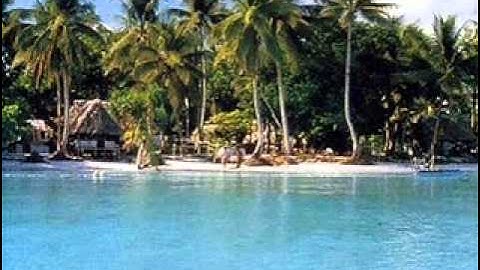 DJ Liamz- Vania feat DMP and Taina Gee - Gau Vaivine.