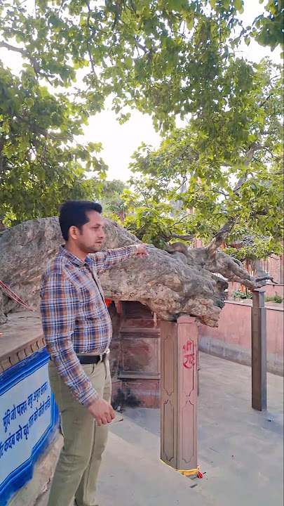 keli kadamba ll Kali Deh Mandir ବୃନ୍ଦାବନ 🍁🌼#viral #odia #bhajana #brundaban #views #ytshorts #yt