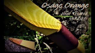Osage Orange Bow Heat Treated 55lbs@28"