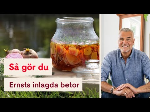 Video: Kall Inlagd Rödbetborsch