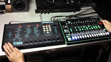 Roland TR-8 Scatter VS Sequential TOM Glitch Sound