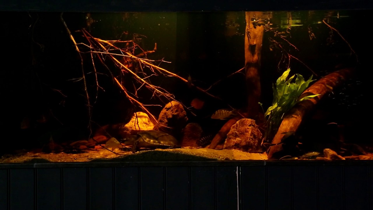 2000 liter aquarium work in progress YouTube