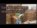 Tips para elegir híbrido de maíz. Siembra de maíz elección de semilla. Ejemplo Semilla maíz pioneer