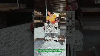 Silk Cocoon Harvest Hack! Instant Shelling Technique & Sericulture Efficiency Silk Cocoon Harvest Hack! Instant Shelling Technique & Sericulture Efficiency