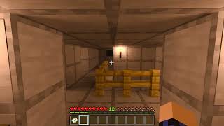 Minecraft with RTX and DLSS in HD on my realm.