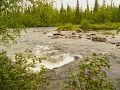 Река Явр Мурманская область / The Yavr River Murmansk region