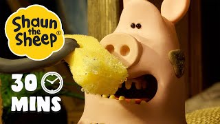 Full Episodes 1720 | Shaun the Sheep Season 5